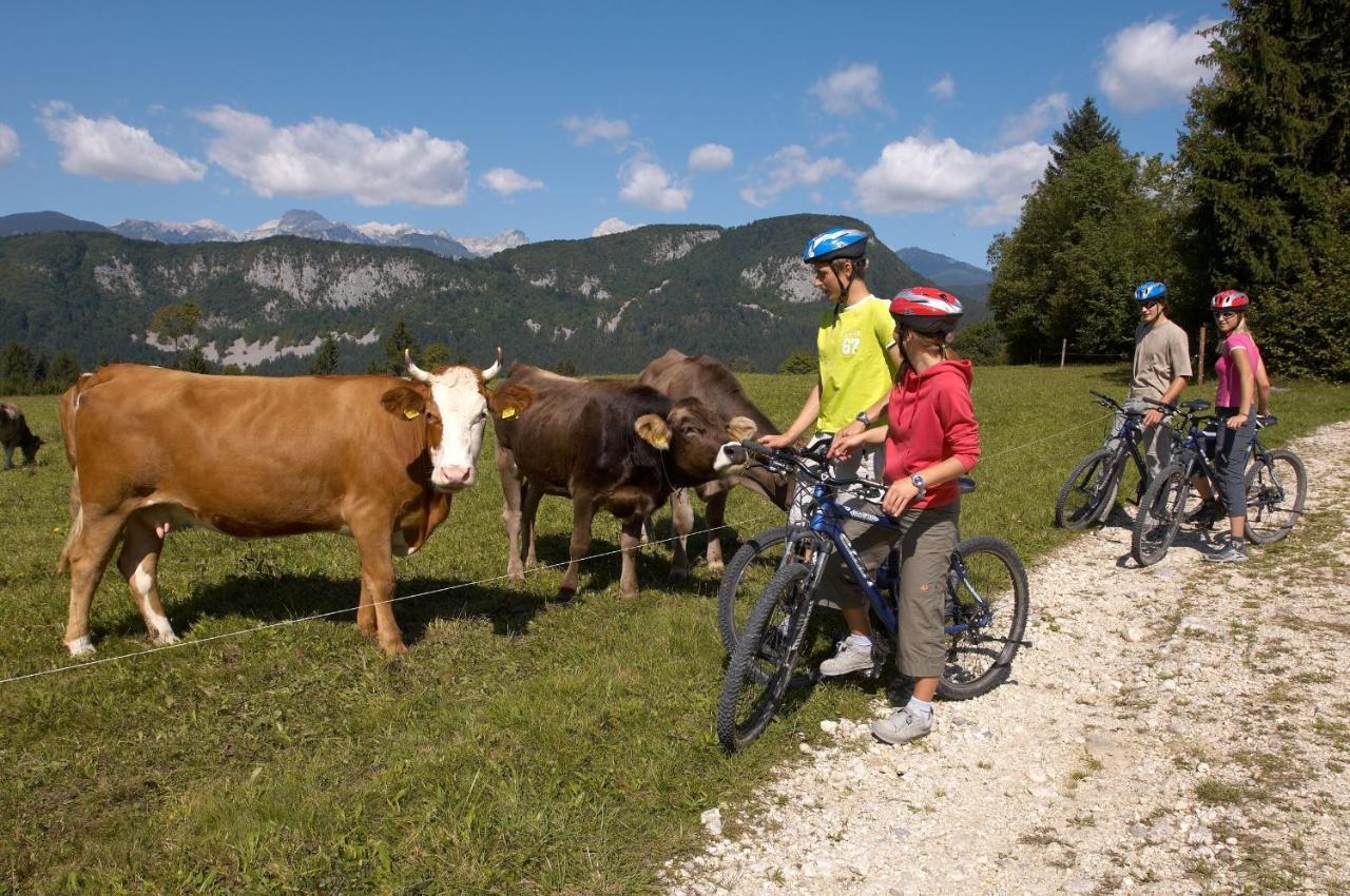 Bohinj Eco Hotel Bohinjska Bistrica Εξωτερικό φωτογραφία