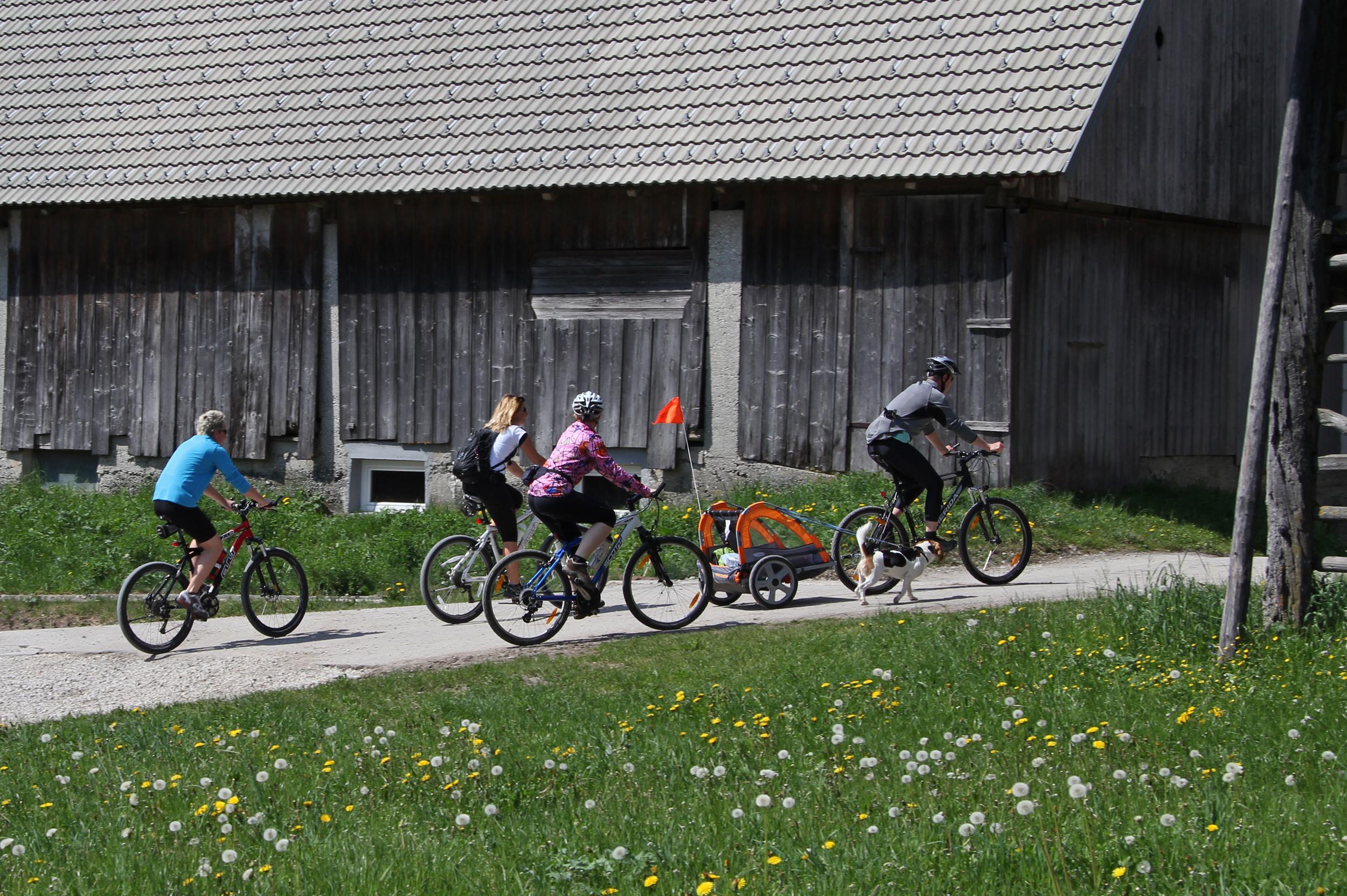 Bohinj Eco Hotel Bohinjska Bistrica Εξωτερικό φωτογραφία