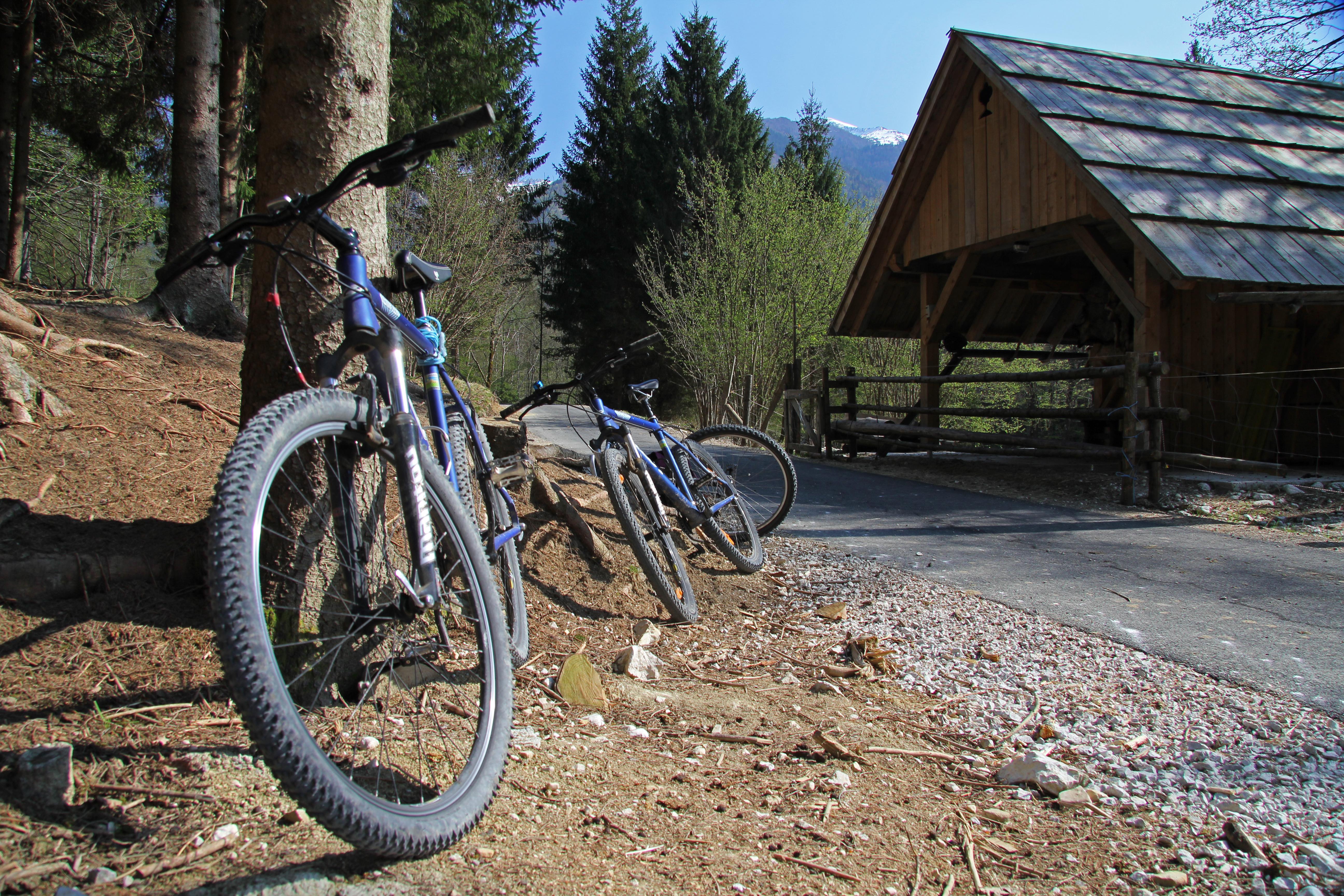 Bohinj Eco Hotel Bohinjska Bistrica Εξωτερικό φωτογραφία